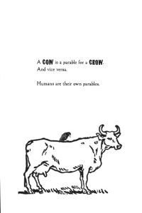 12-cow-is-crow